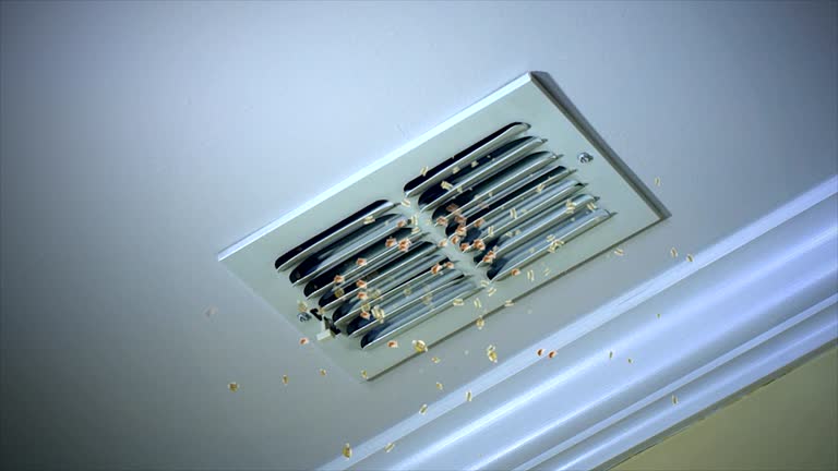 Best Commercial Air Duct Cleaning  in Level Park Oak Park, MI