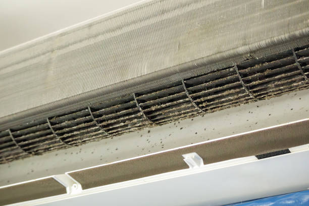 Best HVAC Duct Inspection Services  in Level Park Oak Park, MI